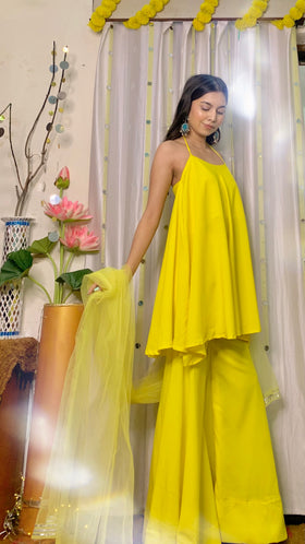 Circular flared Sharara set