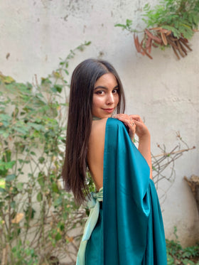 Satin Backless Halterneck Blouse with Basic Sari.